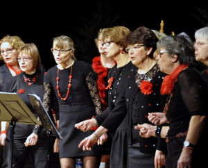Diverses images du groupe vocal dans une rassemblement de chorales de Blois
