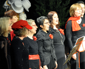 Diverses images du groupe vocal dans une rassemblement de chorales de Blois